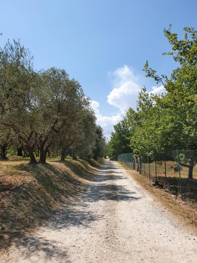 Sweet In Chianti Villa Tavarnelle Val di Pesa Eksteriør bilde